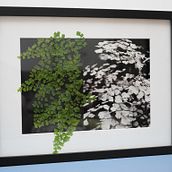 capelvenere. Un proyecto de Fotografía y Fotografía artística de Paolo Menduni - 21.09.2024