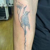 Meu projeto do curso: Tatuagem botânica com pontilhismo. Un progetto di Design di tatuaggi, Illustrazione tradizionale e Illustrazione botanica di Viviane Santos - 22.09.2024