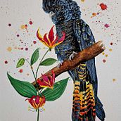 Rotschwanzkakadu . Watercolor Painting, Traditional illustration, and Painting project by Stefanie Wagner - 09.22.2024