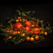 My course project: Chiaroscuro still life photography. Fine-Art Photograph, Food Photograph, and Product Photograph project by Regine Sahmel - 09.23.2024