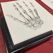 My project for course: Intro to Anatomy Drawing with Graphite Pencil. Projekt z dziedziny R, sunek, R, sunek anatomiczn, R, sunek ołówkiem, R, sunek realist, czn i Sztuki piękne użytkownika Maria Andree O - 13.12.2023