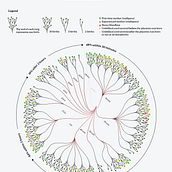 Data visualisation: Placenta: A natural, physiological third stage of labour. Graphic Design, Infographics, Information Design & Interactive Design project by jilke - 09.27.2024