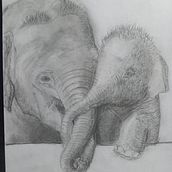 Mein Abschlussprojekt für den Kurs: Realistische Tierbilder in Graphitstift. Un progetto di Disegno, Belle arti, Illustrazione naturalistica, Disegno a matita e Disegno realistico di moya_ayana - 28.09.2024