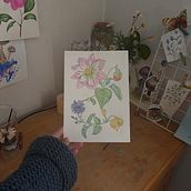 My project for course: Realistic Watercolor for Botanical Compositions. Ilustração botânica, Desenho, Ilustração tradicional, Pintura, e Pintura em aquarela projeto de Esperanza Morales - 25.09.2024