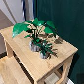 MINATUROWE ROŚLINY . Un progetto di DIY di Anna Waliczek - 29.09.2024