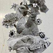 Mi proyecto del curso: Dibujo naturalista artístico a lápiz. Un progetto di Disegno artistico, Disegno, Illustrazione naturalistica e Disegno a matita di Alan Paul López Miranda - 30.09.2024