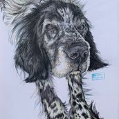 Mi proyecto del curso: Retratos de Mascotas en Lápices de Colores. Un projet de Illustration traditionnelle et Illustration naturaliste de Francisco Aguilar Grande - 03.10.2024