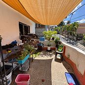 Mi proyecto del curso: Diseño de espacios verdes para tu casa. Floral, Plant Design, L, scape Architecture, and Spatial Design project by milagrosgrullon0 - 10.03.2024