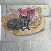 Mon projet du cours : Dessin pour débutants niveau -1. Pencil Drawing, Drawing, Creating with Kids, and Sketchbook project by olivia_latka - 10.08.2024