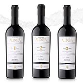 Alineà. Un proyecto de Diseño, Br, ing e Identidad, Diseño gráfico y Packaging de Pere Pagà - 09.10.2024