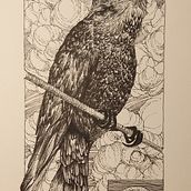 Il mio progetto del corso: Illustrazione realistica di uccelli con elementi di fantasia. Un projet de Dessin, Illustration à l'encre, Illustration naturaliste, Dessin au cra , et on de MARTA USAI - 09.10.2024