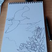 Mi proyecto del curso: Ilustración con tinta y plumilla: captura el mundo natural. Un projet de Dessin artistique, Dessin, Illustration à l'encre, Illustration naturaliste, Carnet de croquis , et Esquisse  de Mayte Sánchez Sempere - 10.10.2024