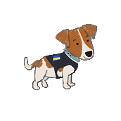 Patron the dog. Character Design project by Inga Glukhova - 10.11.2024