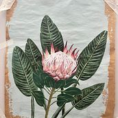 Meu projeto do curso: Pintura botânica com acrílico. Fine Arts, Traditional illustration, Painting, Acr, lic Painting, and Botanical Illustration project by Amanda Marinho - 10.14.2024