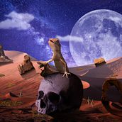 My project for course: Matte Painting of Imaginary Worlds in Photoshop. Un progetto di Matte painting, Ritocco fotografico, Postproduzione fotografica e Fotomontaggio di Ahmed Kamara - 14.10.2024