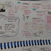 Meu projeto do curso: Sketchnoting: comunique-se com anotações visuais . % Cristina Lima tarafından hazırlanan Geleneksel illüstrasyon, Yaratıcılık, Çizim, İletişim, Yönetim ve Verimlilik, Ve İşletme projesi - 10.15.2024