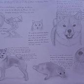 Animal fantàstic. Projekt z dziedziny Trad, c i jna ilustracja użytkownika mattzodarthereal - 16.10.2024