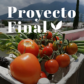 Proyecto Final - Diseño de contenido gráfico para redes sociales. Un proyecto de Marketing de contenidos, Redes Sociales, Marketing Digital, Mobile marketing, Stor, telling y Diseño para Redes Sociales de Alicia Sahagun - 16.10.2024