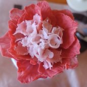 Mi proyecto del curso: Esculpir flores con porcelana fría. Arts, and Crafts project by renataataner44 - 10.19.2024