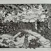 My project for course: Dip Pen and Ink Illustration: Capturing The Natural World. Un progetto di Disegno artistico, Disegno, Illustrazione con inchiostro, Illustrazione naturalistica, Sketchbook e Bozzetti di staceywright2009 - 20.10.2024