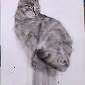 Il mio progetto del corso: Disegno espressivo al carboncino Ein Projekt aus dem Bereich Zeichnung, Bildende Künste, Porträtzeichnung und Naturalistische Illustration von valeria_b - 22.10.2024
