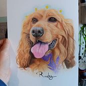 Pet Portrait Coloured Pencils. Artesanato, Artes plásticas, Desenho a lápis, Desenho de retrato, Desenho realista, Desenho, Desenho artístico, Desenho com lápis de cor e Ilustração naturalista projeto de Lisa Dunne - 24.10.2024