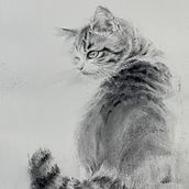 My project for course: Animal Illustration with Charcoal and Ink. Drawing, Ink Illustration, Naturalistic Illustration, and Fine Arts project by Joanne Xu - 10.26.2024