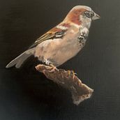 My project for course: Classical Oil Painting for Naturalist Bird Portraiture. Artes plásticas, Ilustração naturalista, Pintura a óleo, e Pintura projeto de gwenyounguk_1 - 26.10.2024