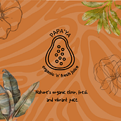 Proyecto Canva 0 al 100 by Aaron J. Lobo. Br, ing, Identit, Graphic Design, Social Media Design, and Web Design project by Josue L. Lobo - 10.26.2024