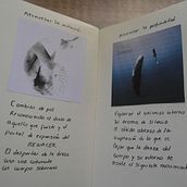 Viaje de regreso . Fine-Art Photograph, and Design project by Nikki - 10.27.2024