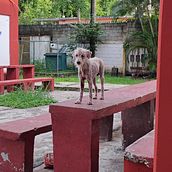 Mi proyecto del curso: Creación de video con smartphone para redes sociales. Un projet de Cinéma, Cinéma, vidéo et télévision, Réalisation, Instagram, Photographie pour Instagram, Photographie smartphone, Réseaux sociaux, Vidéo et Illustration traditionnelle de Keyla Edith - 26.10.2024