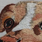 Mi proyecto del curso: Needle painting para principiantes . Broderie, Ilustrație naturalistă și Design textil de Facundo Tapia - 10.24.2024