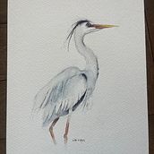 My project for course: Naturalist Watercolor with Expression and Personality. Traditional illustration, Naturalistic Illustration, and Watercolor Painting project by Lisi Van Zyl - 10.28.2024
