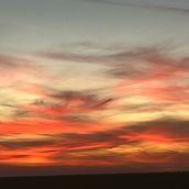 Nature . Traditional illustration, Photograph, Accessor, Design, L, and scape Architecture project by Gabriela Maria Coman - 10.31.2024