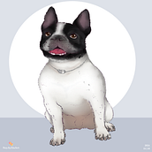 Ilustración Personalizada de Mascota. Un progetto di Illustrazione digitale di Aylin Herrera - 29.10.2024