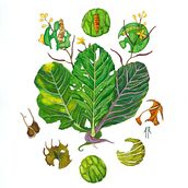 Mi proyecto del curso: Ilustración naturalista con gouache y acuarela. Projekt z dziedziny R, sunek botaniczn, Malowanie gwaszami, Ilustracja naturalist, czna,  Malarstwo, Malowanie akwarelą i  Sztuki piękne użytkownika Alicia Arenas Romero - 01.11.2024