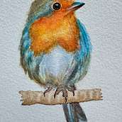 My project for course: Artistic Watercolor Techniques for Illustrating Birds. Traditional illustration, Watercolor Painting, Realistic Drawing, and Naturalistic Illustration project by zahra79 - 11.01.2024
