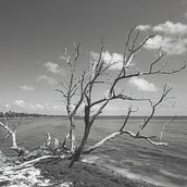 Mi proyecto del curso: Introducción al proceso de impresión en fine art. Projekt z dziedziny  Sztuki piękne, Fotografia i Retuszowanie fotografii użytkownika Juan Carlos Morelos - 02.11.2024