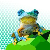 Frog low poly. Un progetto di Illustrazione vettoriale di David Petznick - 16.09.2024