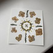 My project for course: Colorful Herbarium from A to Z. Arts, Crafts, Collage, DIY, Fine Arts, Floral, and Plant Design project by pearl_pamela - 11.06.2024