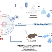 Identificación de Biomarcadores para Células Madre Mesenquimales. Consultoria criativa, Gestão de design, Inteligência Artificial, ChatGPT, Business, e Gestão e produtividade projeto de MONICA KURTE - 07.11.2024