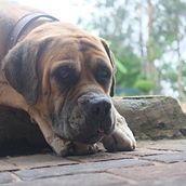 It's Like A Jungle Sometimes. Projekt z dziedziny Fotografia c, frowa, Kino, film i telewizja,  Manager art, st, czn, Projektowanie interakt i wne użytkownika Abigail Dawson - 05.11.2024