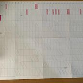 My project for course: Time Management Techniques for Creators and Creatives. Een project van Marketing, Creatieve consultanc, Management En Productiviteit y  Botanische illustratie van nemesevarenata - 07.11.2024