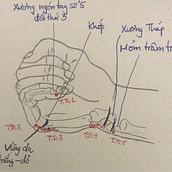  Anatomische Zeichnung um Akupunktur zu verstehen. Artistic Drawing, Drawing, Figure Drawing, Fine Arts, Ink Illustration, Pencil Drawing, Portrait Drawing, Realistic Drawing, Sketchbook, and Sketching project by tuhathanh2000 - 11.07.2024