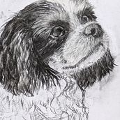 My project for course: Animal Illustration with Charcoal and Ink. Drawing, Ink Illustration, Naturalistic Illustration, and Fine Arts project by evieknight3 - 11.09.2024