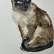 My project for course: Expressive Animal Portraits in Watercolor. Un projet de Dessin réaliste, Illustration traditionnelle, Illustration naturaliste , et Aquarelle de MIRELE HASSELQVIST - 09.11.2024