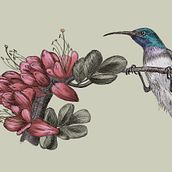 My project for course: Naturalist Illustration with Ballpoint Pen . Drawing, Realistic Drawing, Traditional illustration, and Naturalistic Illustration project by info_279080 - 11.10.2024