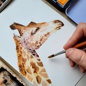 Mi proyecto del curso: Ilustración realista en acuarela de la vida salvaje. Un proyecto de Bellas Artes, Ilustración naturalista				, Pintura y Pintura a la acuarela de Mariana Saife - 10.11.2024