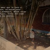 Proyectos varios. Un projet de Design  de Adriana Nonajulca Carreño - 11.11.2024