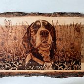Pet Portrait - Guinness. Fine Arts, Woodworking, and Portrait Drawing project by Hannah Veiga - 11.11.2024